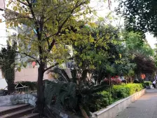 大坪商圈龙湖时代天街旁正规两房户型方正采光好.