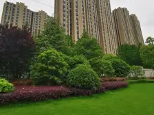 宝华品质小区金典大三房值得青睐