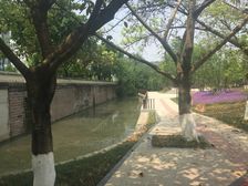 索尔龙舟 1室0厅 西南