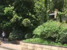 巴蜀剑桥 2室1厅 东南