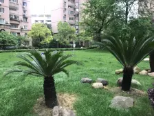 曹家渡·三和花园·1室·2厅