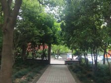 通河泗塘·共和一村·3室·1厅