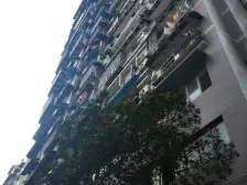 七星岗地铁站旁 双轨道交通 出入方便 电梯房