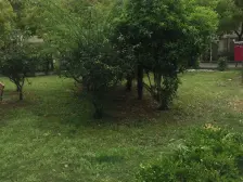 总价低+近地铁+南北通户型+业主诚意出售