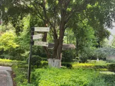 龙头寺 鲁能星城九街区二房