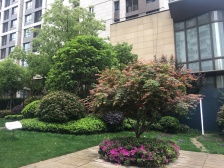 次新高科技住宅,户型正气通透,诚意出售