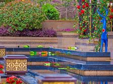 房子是中间楼层,采光好,视野好,三口之家理想居住