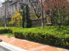 旅顺中路西郊公馆独栋精装修一天没住拎包入住