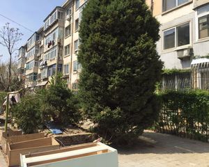 辽师兰秀小区封闭小区中间楼层生活方便近地铁