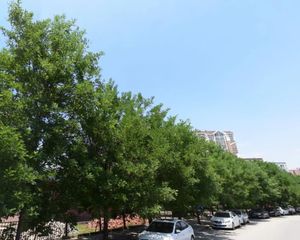 立水桥·明天第一城1号院·南向采光好无遮挡