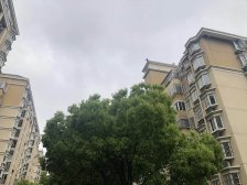 客厅 南北方正,一房朝南,一房朝北,楼层位置佳