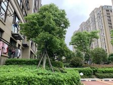 格兰晴天,精装修,采光好,诚心出售。