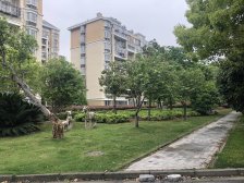 两房朝南,一房朝北,客厅南北通,南面临河,视野开阔