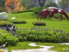 商品住宅 装修好 带电梯 次新房 双卫格局 南北通透