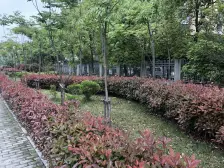 店长推荐,地.铁口,两房好户型,进.才旁,