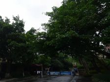 滨江河畔 4室2厅 南 西南