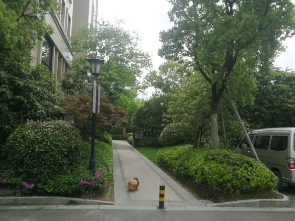 雅戈尔都市阳光