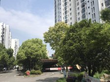 40万精装,可拎包入住,全明通透,店长力推