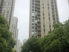 新场·汇善嘉苑·2室·1厅