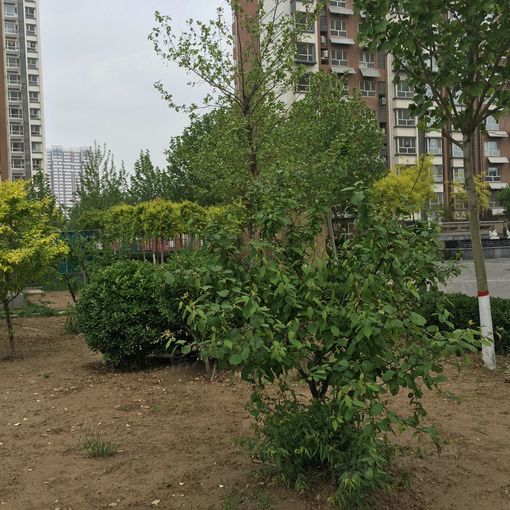 Õû×⡤ÏãÏªÜøÔ·2ÊÒ1Ìü