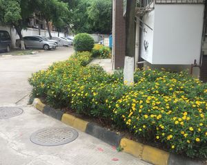 青乐苑A区2室2厅东