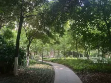 奥园顶跃江景精装5房251平 比市场成交价低10万