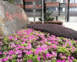 红叶新家园东首临河全新毛坯