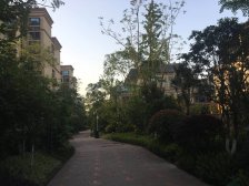 西永 国盛园墅C区四房250万