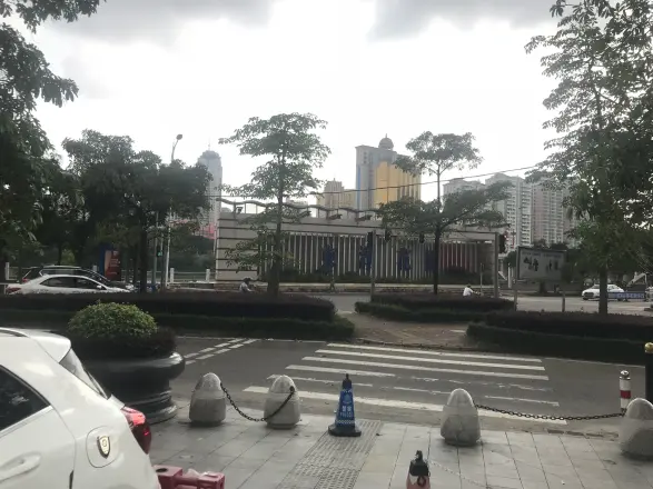 隆生东湖9区