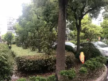 近地铁 现场实勘,无抵押 采光好,业主诚意