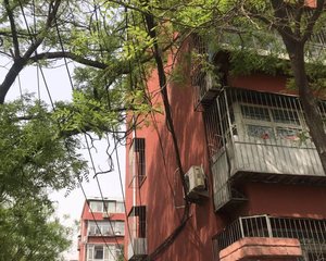 东二环装修两居,看房方便,诚心出售,近二环近公园