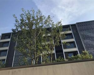 西que复式,自住精装修+50平花园,复旦二附