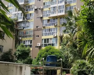 森桦苑3室2厅南北