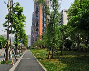 滨江河畔2室1厅西南