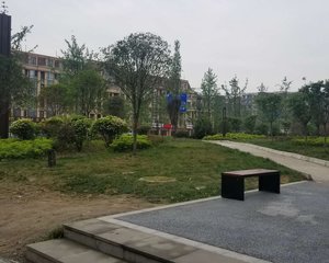 中环晓院4室1厅东南