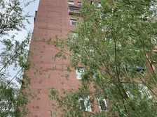 次渠南里九区1室1厅西北
