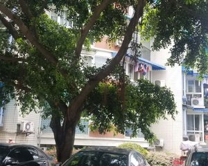 华馨名屋2室1厅南