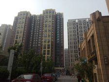 梧桐苑知秋园、精装修高层、南北通透双卫大三居