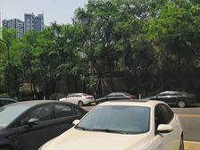 滨江河畔 3室1厅 西南