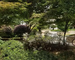 香月楠岸2室1厅东