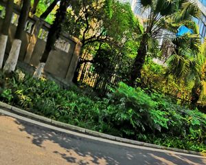 锦官丽城亲水湾3室2厅南