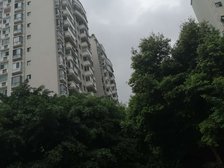 丽景天成 2室1厅 南