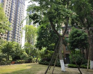 融创凯旋公馆2室1厅南