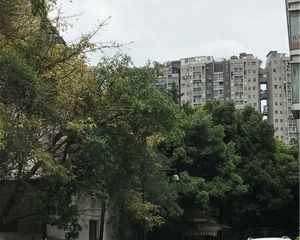 中华家园东区3室1厅南北