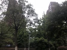 佳期漫洋房 小区前排 五室 房东诚心出售