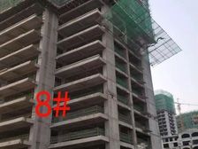 北区体育场旁一梯两户电梯洋房,双气,老证,随时看