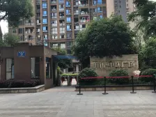 大坪 升伟中环广场一房90万