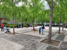 忠实里南街小区户型方正全明格局视野开阔无遮挡