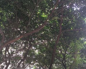 阳光欣园3室1厅东南