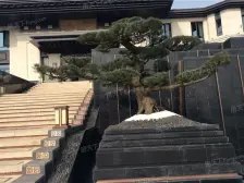 照母山 碧桂园中俊天玺四房278万